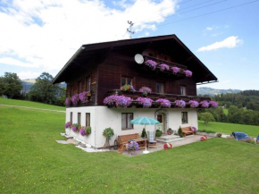 Kronbichl, Goldegg, Österreich